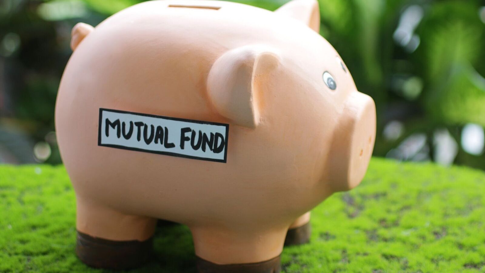 Hold a joint mutual fund account? Sebi makes the nomination process voluntary. Details here