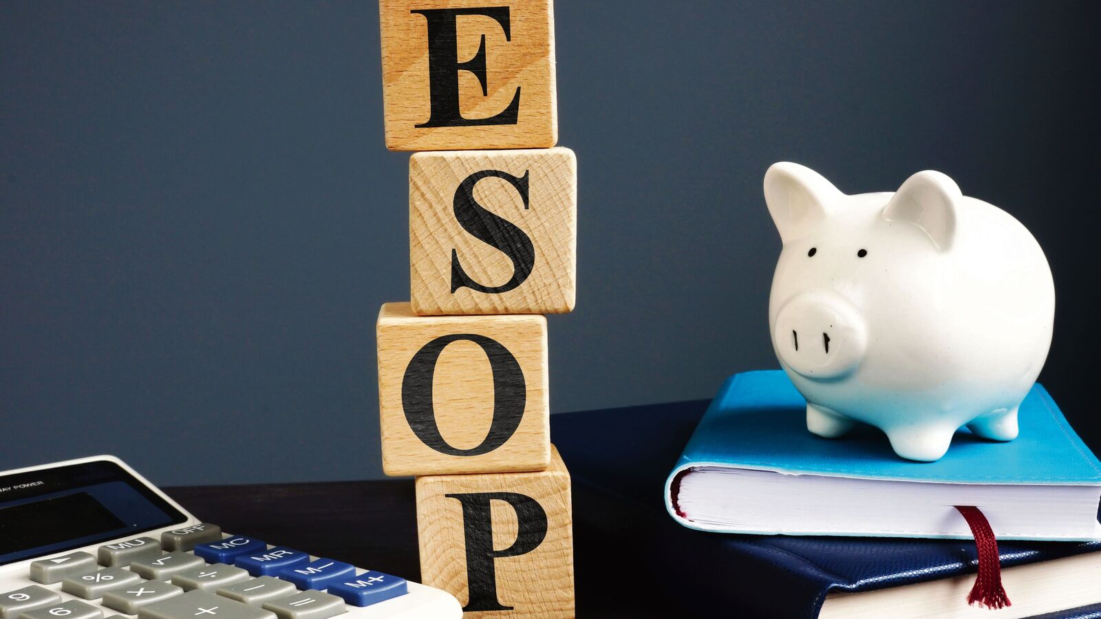 Navigating Esop reporting rules for Indian subsidiaries of foreign MNCs