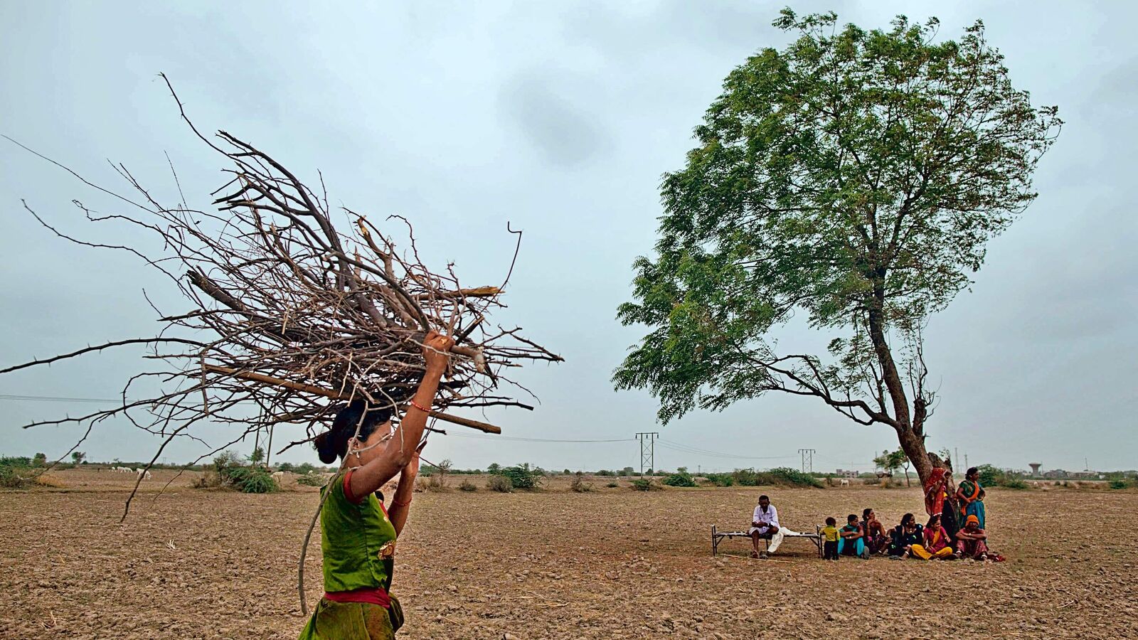 Budget 2024: Agri sector bats for exports worth $100 billion, long-term farmer credit; 5 key expectations