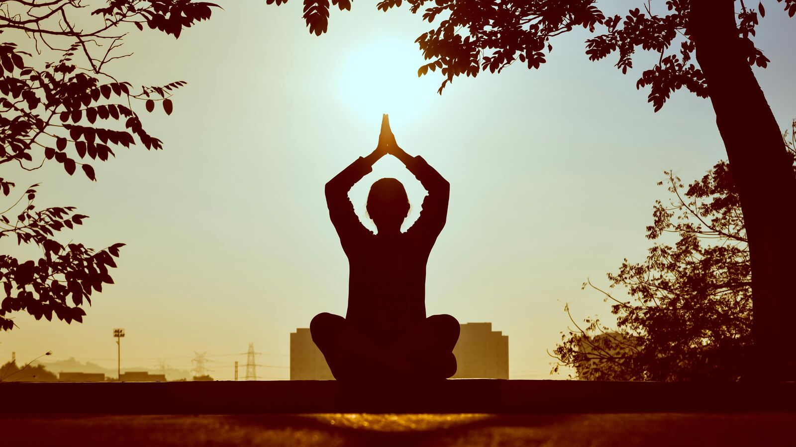 International Yoga Day: How THESE health insurance plans reward active lifestyle with premium discounts